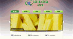 Desktop Screenshot of degirmencigida.net